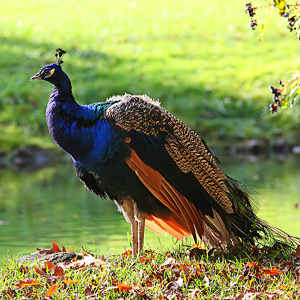 Fotos von Jürgen Schmidt