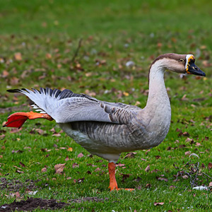 Fotos von Jürgen Schmidt