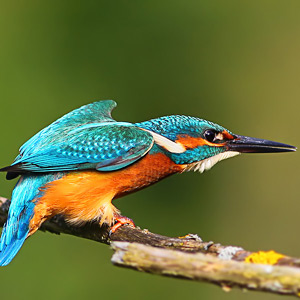 Fotos von Jürgen Schmidt