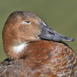 Fotos von Jürgen Schmidt