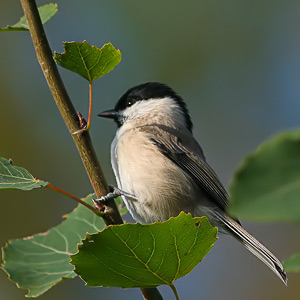 Fotos von Jürgen Schmidt
