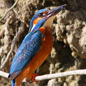 Fotos von Jürgen Schmidt