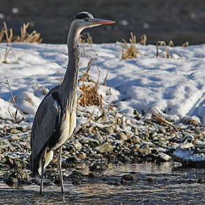 Fotos von Jürgen Schmidt