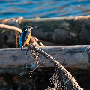 Fotos von Jürgen Schmidt