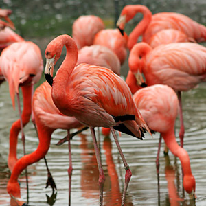 Fotos von Jürgen Schmidt