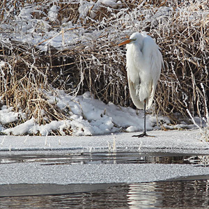 Fotos von Jürgen Schmidt