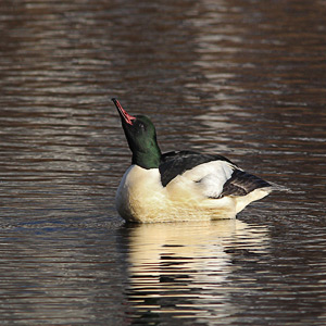 Fotos von Jürgen Schmidt