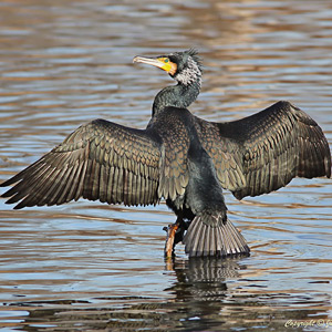 Fotos von Jürgen Schmidt