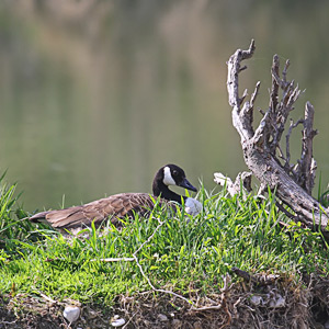 Fotos von Jürgen Schmidt