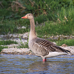 Fotos von Jürgen Schmidt