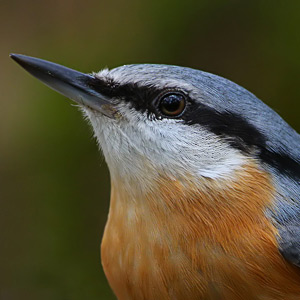 Fotos von Jürgen Schmidt