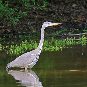 Fotos von Jürgen Schmidt