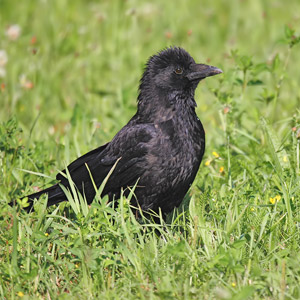Fotos von Jürgen Schmidt