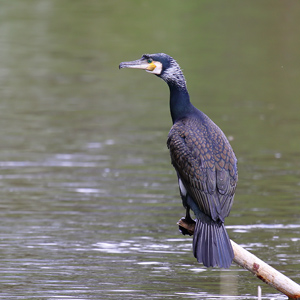 Fotos von Jürgen Schmidt