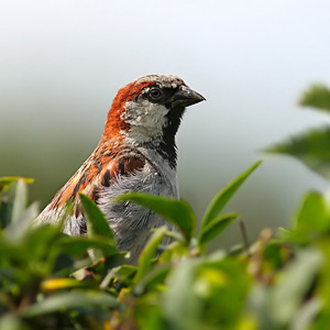 Fotos von Jürgen Schmidt